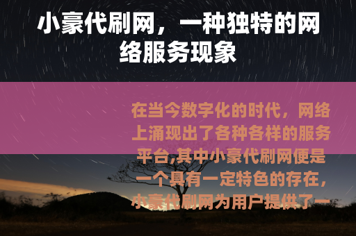 小豪代刷网，一种独特的网络服务现象