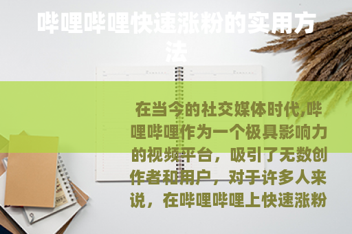 哔哩哔哩快速涨粉的实用方法