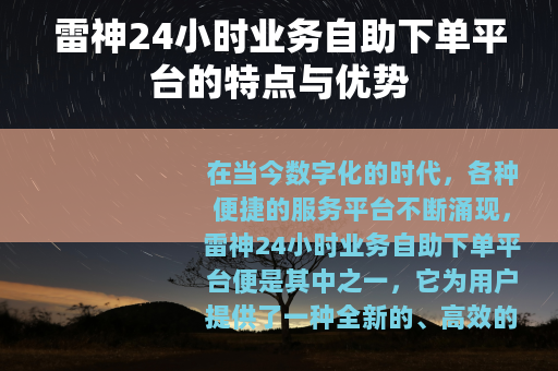 雷神24小时业务自助下单平台的特点与优势