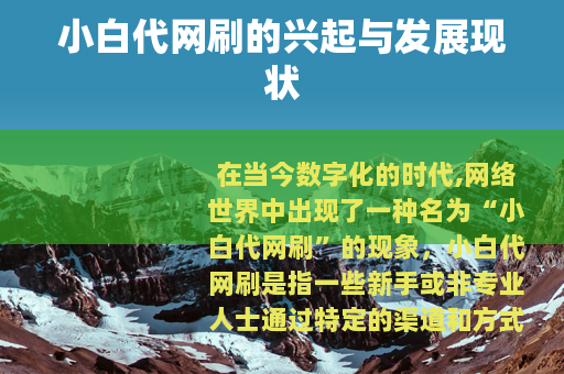 小白代网刷的兴起与发展现状