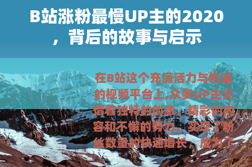 B站涨粉最慢UP主的2020，背后的故事与启示