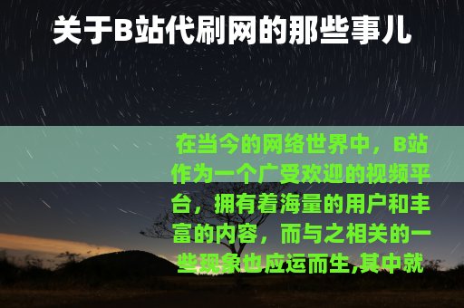 关于B站代刷网的那些事儿