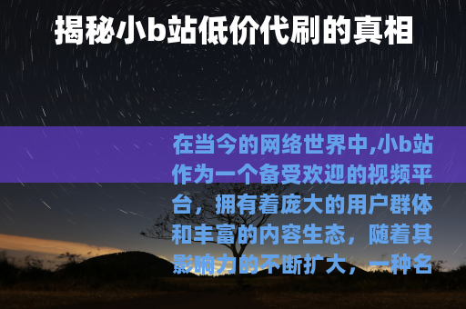 揭秘小b站低价代刷的真相