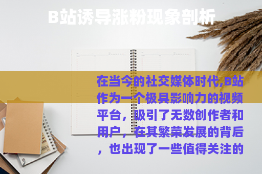 B站诱导涨粉现象剖析