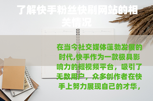 了解快手粉丝快刷网站的相关情况