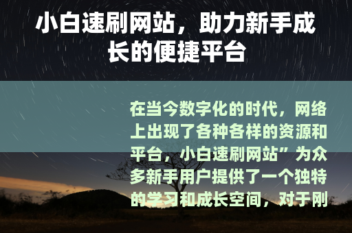小白速刷网站，助力新手成长的便捷平台