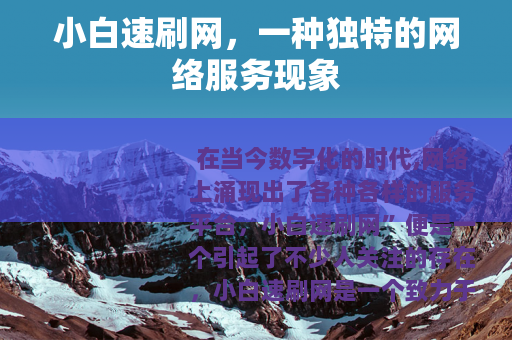 小白速刷网，一种独特的网络服务现象