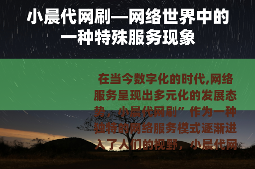 小晨代网刷—网络世界中的一种特殊服务现象