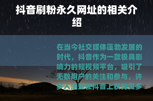 抖音刷粉永久网址的相关介绍