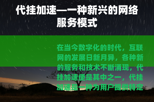 代挂加速—一种新兴的网络服务模式