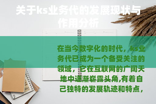 关于ks业务代的发展现状与作用分析