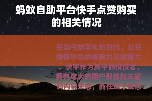 蚂蚁自助平台快手点赞购买的相关情况