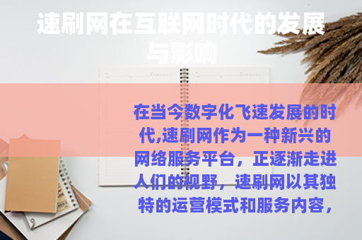 速刷网在互联网时代的发展与影响
