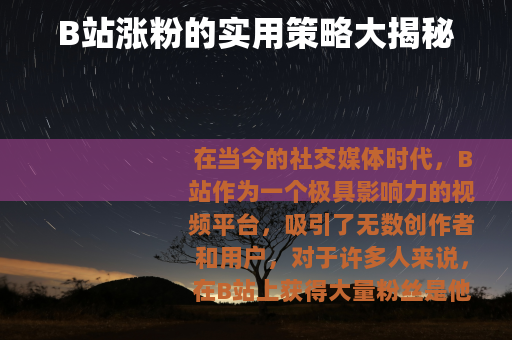 B站涨粉的实用策略大揭秘