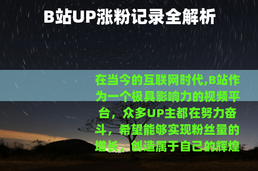 B站UP涨粉记录全解析