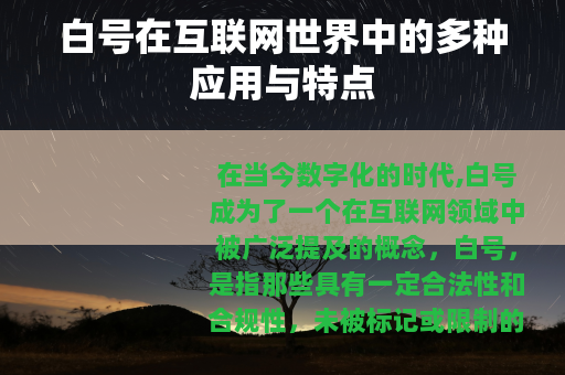 白号在互联网世界中的多种应用与特点