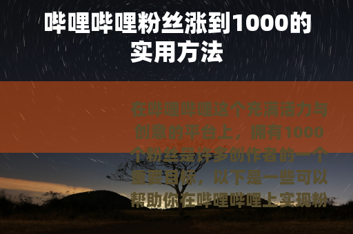 哔哩哔哩粉丝涨到1000的实用方法