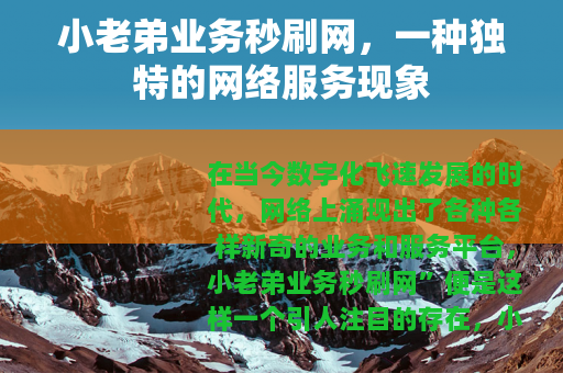 小老弟业务秒刷网，一种独特的网络服务现象