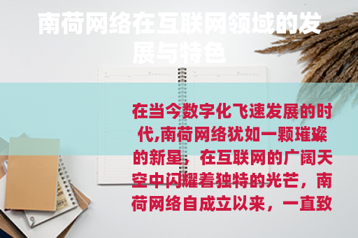 南荷网络在互联网领域的发展与特色