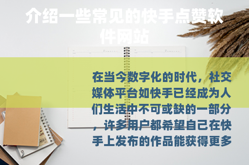 介绍一些常见的快手点赞软件网站