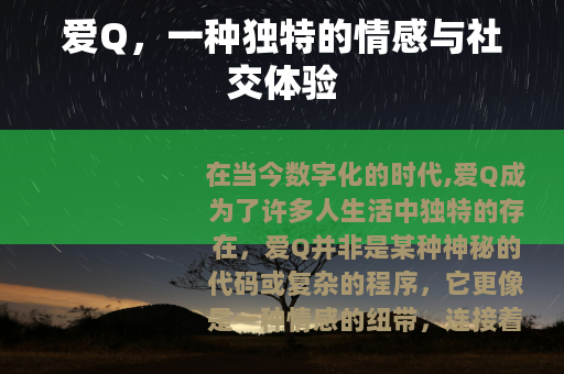 爱Q，一种独特的情感与社交体验