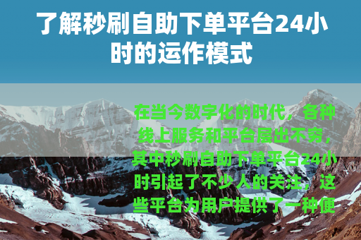 了解秒刷自助下单平台24小时的运作模式