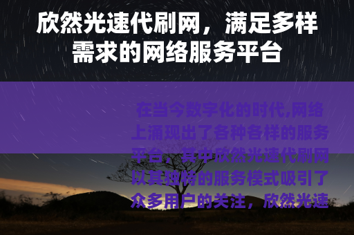 欣然光速代刷网，满足多样需求的网络服务平台