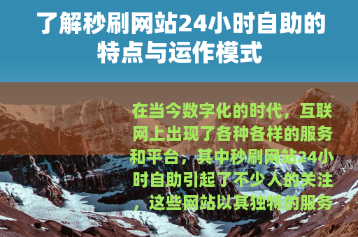 了解秒刷网站24小时自助的特点与运作模式