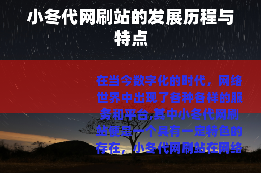 小冬代网刷站的发展历程与特点