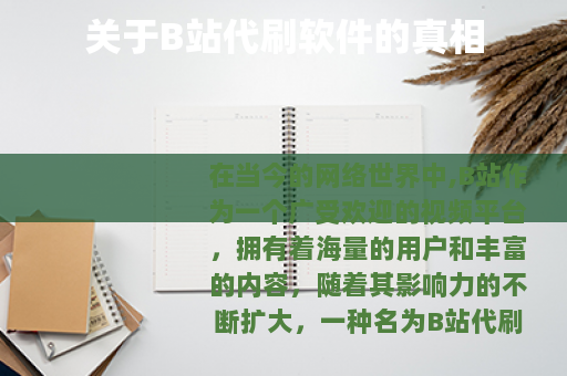 关于B站代刷软件的真相