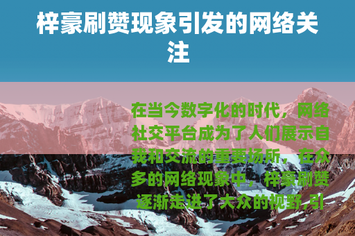 梓豪刷赞现象引发的网络关注