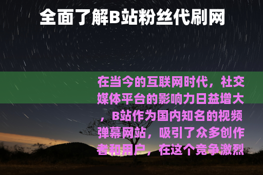 全面了解B站粉丝代刷网