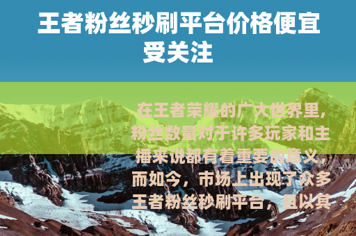 王者粉丝秒刷平台价格便宜受关注