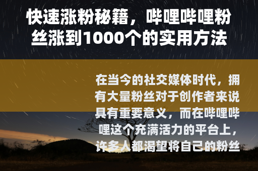 快速涨粉秘籍，哔哩哔哩粉丝涨到1000个的实用方法