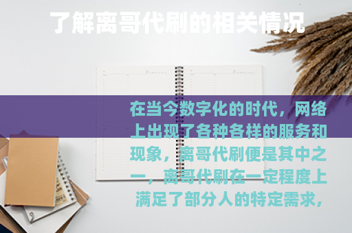 了解离哥代刷的相关情况