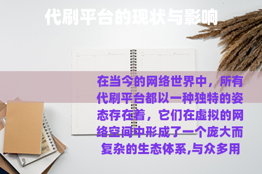 代刷平台的现状与影响