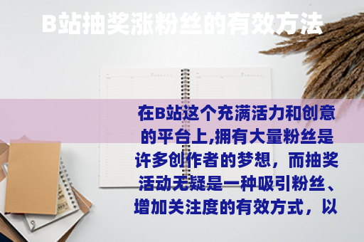 B站抽奖涨粉丝的有效方法