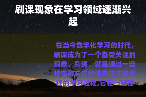 刷课现象在学习领域逐渐兴起