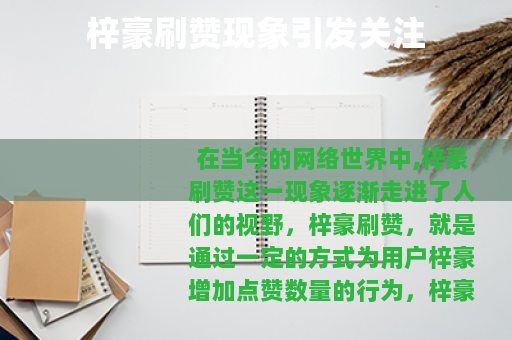 梓豪刷赞现象引发关注