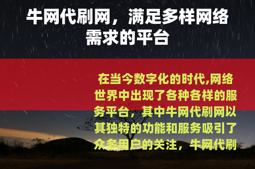 牛网代刷网，满足多样网络需求的平台