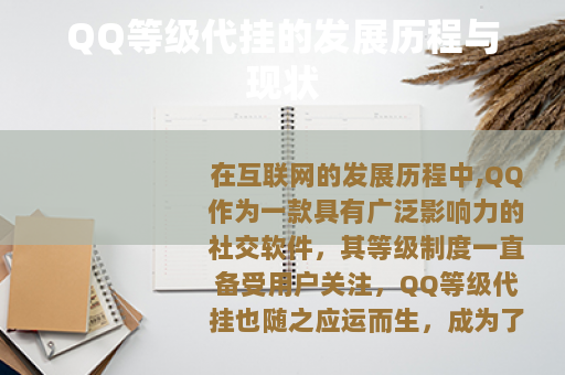 QQ等级代挂的发展历程与现状