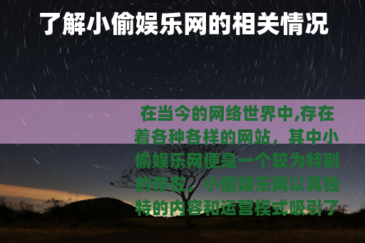 了解小偷娱乐网的相关情况
