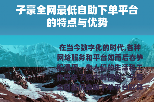 子豪全网最低自助下单平台的特点与优势