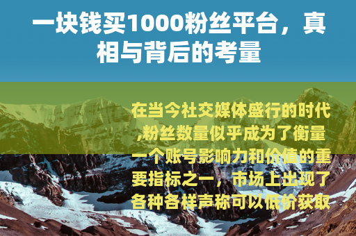 一块钱买1000粉丝平台，真相与背后的考量