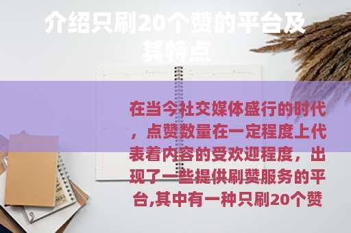 介绍只刷20个赞的平台及其特点