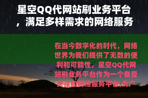 星空QQ代网站刷业务平台，满足多样需求的网络服务平台