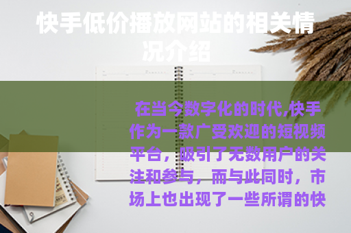 快手低价播放网站的相关情况介绍