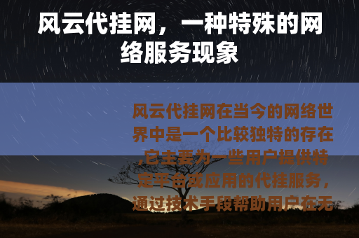 风云代挂网，一种特殊的网络服务现象