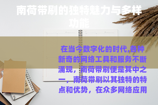 南荷带刷的独特魅力与多样功能