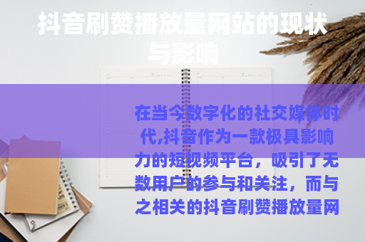 抖音刷赞播放量网站的现状与影响